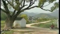 姚剧《传孙楼》2 - 经典戏曲下载，感受家族传承的魅力下载