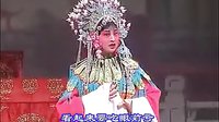 乐平赣剧《打金枝》 经典剧目，精彩剧情不容错过！下载