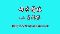 母子情缘（生死恨）