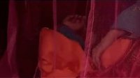 赣南采茶戏《李氏劝夫（野花不如家花香）》全集 - 经典戏曲下载