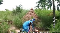 抚州采茶戏后母虐子