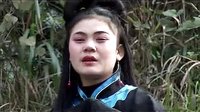 赣南采茶戏 许真君传奇〖真君擒妖〗上集.