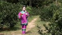 赣南采茶戏济公系列之赛金扇2 - 经典戏曲下载