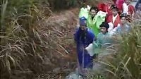 赣南采茶戏《清水塘》全集高清下载-第02集完整版在线观看-地方戏曲资源分享平台