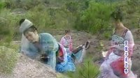 赣南采茶戏《罗瞎子闹凉亭》 经典剧目，精彩不容错过！下载