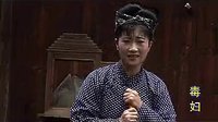 赣南采茶戏《毒妇》在线观看 - 经典戏曲下载站下载