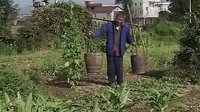 崽多不供爷 抚州采茶戏 经典剧目 剧情简介 戏曲下载