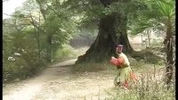 绣花女传奇 - 江西宁都采茶戏经典剧目 | 张美玲主演下载