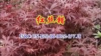 江西宁都采茶戏《红丝错》- 经典戏曲下载 - 精彩剧情与演员阵容全解析下载
