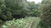 管甫送