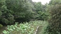 管甫送