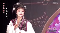 漳州芗剧《半把剪刀》全集 - 经典戏曲下载下载
