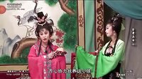 闽南芗剧《金童玉女》全集在线观看 - 经典戏曲下载站下载