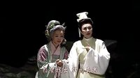 五世母子 芗剧歌仔戏全集 杨丽花主演 闽南语立体声戏曲下载下载
