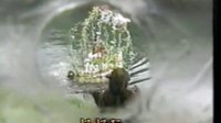 乞丐与千金