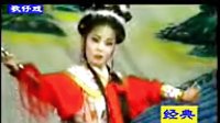 狄青平南双婿奇缘