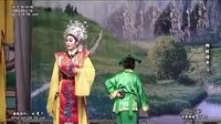 柳枝传奇（中）