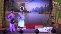 芗剧-歌仔戏-龙海市福艺芗剧团-主婢恋-全集下载|高清完整版在线观看下载