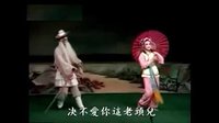 海陆白字戏《桃花娘》-经典戏曲下载，精彩剧情不容错过！下载