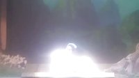 白字戏《玉鸳鸯之荒山产子》-经典戏曲下载下载