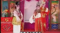 花王之女 雷剧 经典剧目 剧情介绍 演员阵容下载