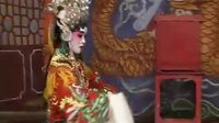 替皇帝下