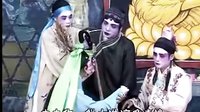 雷剧《金叶菊》 精彩剧情，经典演绎下载