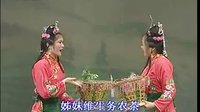 紫金大戏客家戏采茶戏 紫金花朝戏 双花缘(第1集) | 戏曲下载