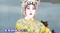 雷剧《珍珠塔》全集在线观看 - 经典戏曲剧情介绍及演员表