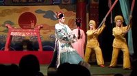 海口艺花琼剧团《忠孝世家》演出视频 - 经典琼剧剧情介绍及演员阵容下载