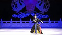夜奔 京剧经典选段 冯玉恩 王艳清 李金鸿 张学津 演出视频下载下载