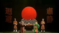 紫苏传