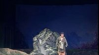 淑女寻夫