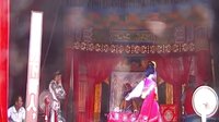 湖南花鼓戏《狸猫换太子》-经典戏曲全本下载|演员阵容强大|剧种介绍及剧情简介下载