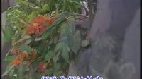 孝感天