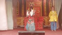 岳阳花鼓戏《醉打金枝》全集 - 经典剧情解析与演员阵容介绍下载