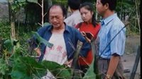 乡长本姓赵