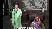 傻子孝母