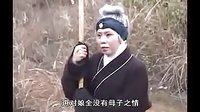 湖南花鼓戏《老来福》- 刘兴建、杨艳红、张子映主演 - 剧情简介与下载资源下载