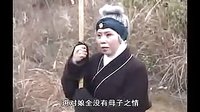 湖南花鼓戏《老来福》全集在线观看 - 高清画质免费播放下载