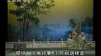雷打皮冬瓜
