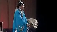 雷打皮冬瓜
