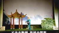 湖南衡阳花鼓戏《张二嫂回娘家》全本下载 - 经典戏曲MP3/视频资源分享