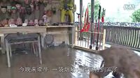 侗族傩戏《癞子偷牛》 一场充满幽默与智慧的偷牛之旅 侗族傩戏《癞子偷牛》 一场充满幽默与智慧的偷牛之旅