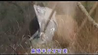 邵阳花鼓戏《放羊调》 经典爱情传奇,展现地方风情与人生百态 邵阳花鼓戏《放羊调》 经典爱情传奇,展现地方风情与人生百态