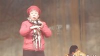 寒雨看戏 大平调清唱版骂殿 - 经典戏曲剧目在线观看及下载 寒雨看戏 大平调清唱版骂殿 - 经典戏曲剧目在线观看及下载