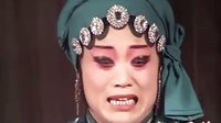 寒雨看戏之大平调 三娘教子 演员表及剧情简介下载