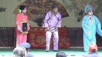 菏泽戏迷风彩高翔四平调《桑林收子》- 戏曲下载网站下载