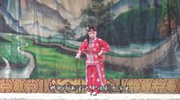 大平调《收岑彭》- 邯郸市新星大平调剧团精彩演出，领略历史传奇，感受戏曲魅力！下载