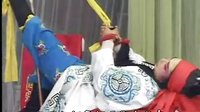 胡魁下山 大平调 付海江 戏曲下载 胡魁下山 大平调 付海江 戏曲下载